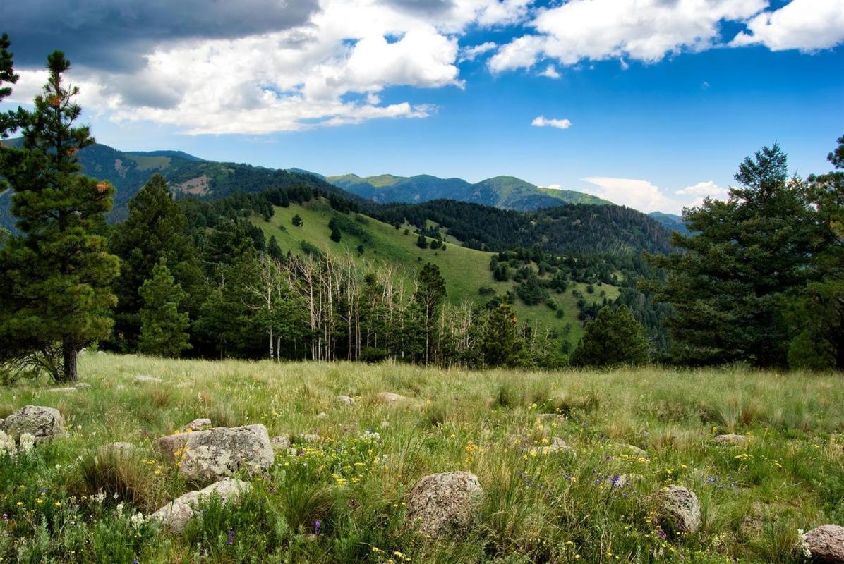 Cozy Cabin, 2 Bedrooms, Fireplace, Midtown, Sleeps 5 Ruidoso Extérieur photo